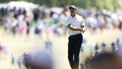 Tiger Woods