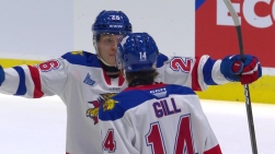 Wildcats.jpg