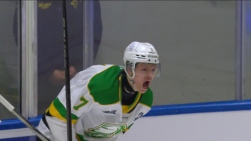 Cowan3.jpg