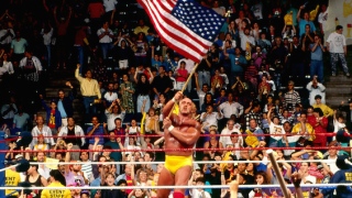 Hulk Hogan