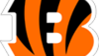 Bengals de Cincinnati
